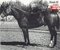 Hank H 1